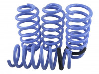 Triple S пружины под занижение BMW X5 E70