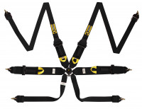 Beltenick ремень безопасности 6 точечный под HANS до 2030