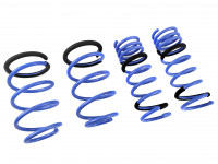 Triple S пружины под занижение Ford Focus 3 поколение 2.0 13-15