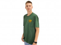 Футболка AJS Team зеленая (XXXXL)